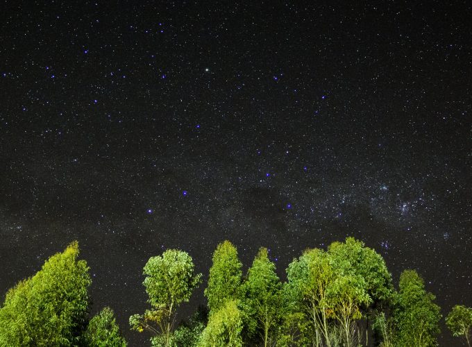 Wallpaper night, stars, sky, trees, 4k, Nature 1446916613